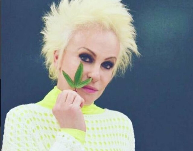 https://twitter.com/ANAMARIABRAGA Ana Maria Braga postou uma foto com uma folha de azedinha e fez piada no Twitter.