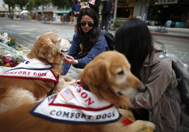Lucy Nicholson/Reuters Cachorros terapêuticos são utilizados para auxiliar pessoas a lidarem com eventos traumáticos. Na foto, foram utilizados após um tiroteio em uma universidade da Califórnia em 2014