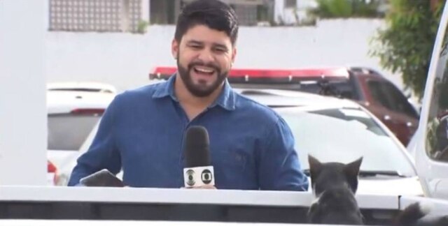 Instagram / @arturslira Vídeo que mostra um gato distraindo o repórter Artur Lira fez sucesso nas redes sociais
