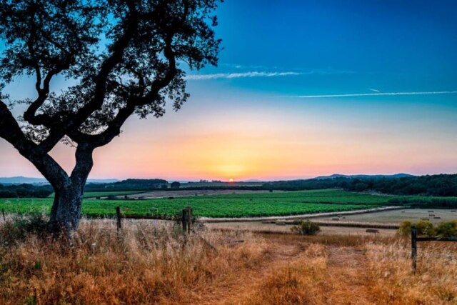Herdade de Coelheiros ? Herdade de Coelheiros ?