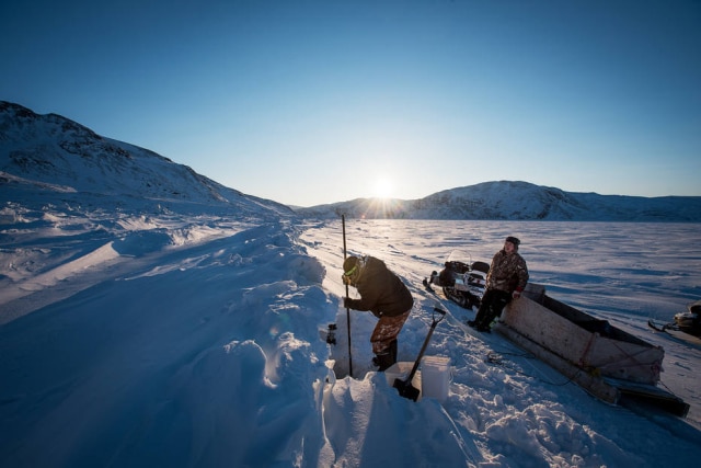 Inuits cavam buraco no gelo para coletar mexilhões durante a maré baixa. 