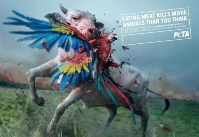 Divulgação/PETA ONG PETA, em defesa dos direitos dos animais, lança campanha acusando produção de carne de causar incêndios na Amazônia.