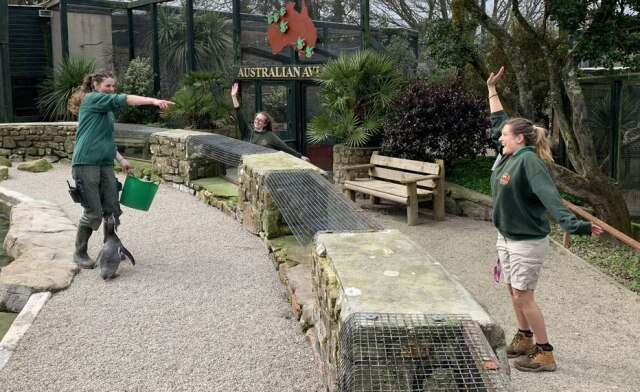 Facebook / @ParadiseParkCornwall As cuidadoras continuam a realizar atividades no local, interagindo com os animais