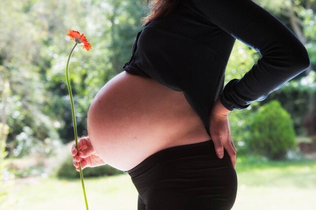 Pixabay Congelamento de óvulos pode ser opção para mulheres que desejam adiar gravidez, mas procedimento não é barato