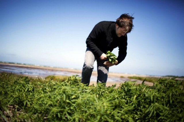 Eric Refner|The New York Times René Redzepi, chef do Noma, é o criador da iniciativa