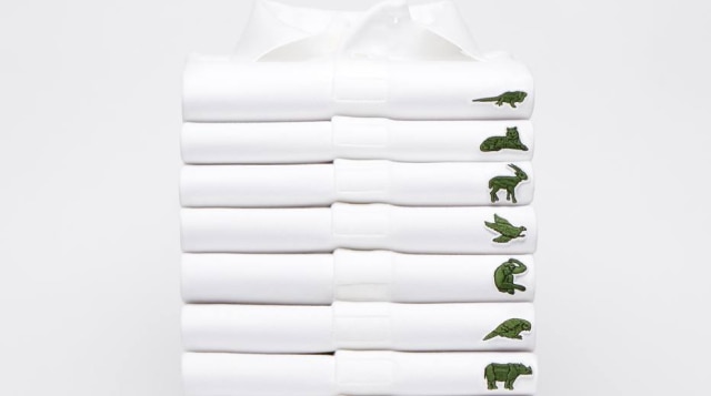 São 10 animais homenageados nas camisetas