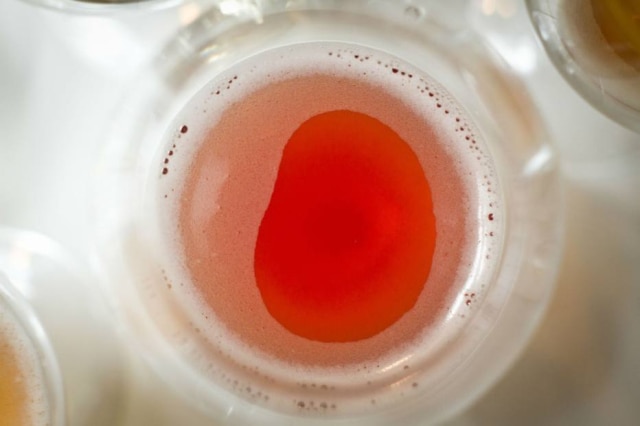 Brouwerij Verhaeghe Flanders red ale maturada com cerejas azedas, da Brouwerij Verhaeghe