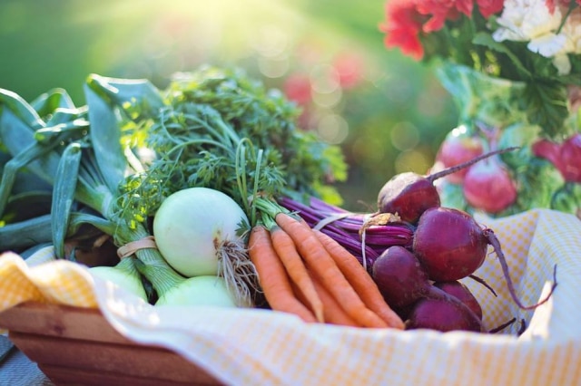 Pixabay Reeducação alimentar é um dos caminhos para se conquistar um estilo de vida mais saudável