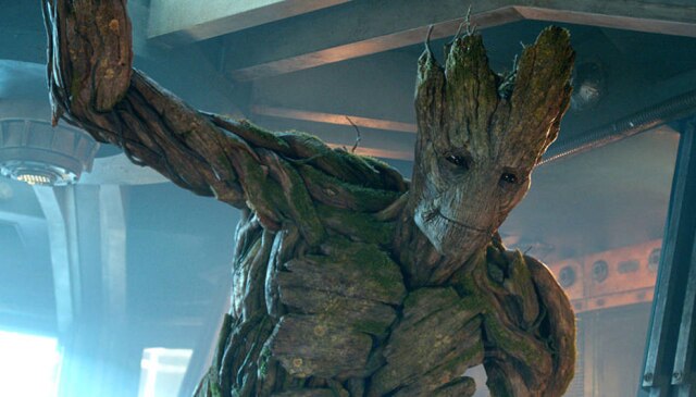 Marvel/Divulgação Um cacto parecido com o personagem Groot, de 'Guardiões da Galáxia', foi descoberto no Arizona e fez sucesso na internet