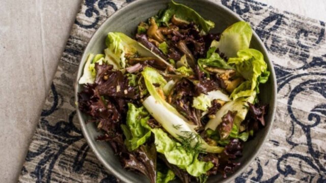 Reprodução Salada de outono
