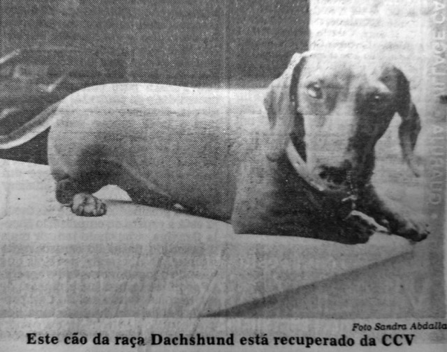 Acervo/Estadão Paciente em plena recuperação em 1988. Foto: Acervo/EstadãoClique aqui para ver mais