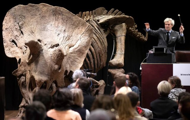 EFE/EPA/IAN LANGSDON Big John, o maior dinossauro triceratope já descoberto, foi vendido por 6,65 milhões de euros em um leilão realizado na Drouot em Paris