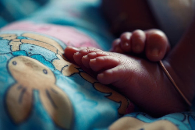 Vinoth Chandar/Creative Commons O DNA de micróbios transportados pela mãe durante a gravidez pode ser transmitido para os filhos