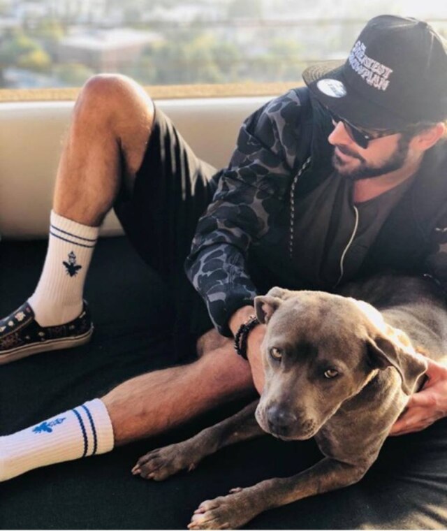 Instagram/zacefron Zac passou por processo de candidatura para adotar Maca.