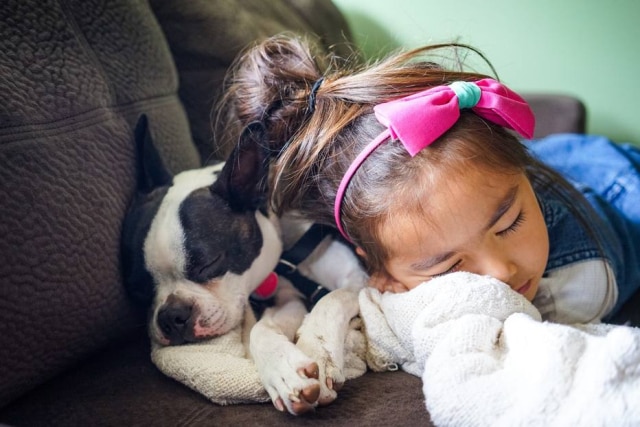 Unsplash/@leorivas Crianças que dormem com cães podem superar medo do escuro.
