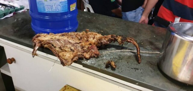 Divulgação/Polícia Civil do Paraná De acordo com a polícia, um dos cães que não sobreviveu foi servido como churrasco para participantes de rinha.