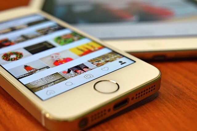 Pixabay Grupos são chamados de 'pod', o coletivo de golfinhos em inglês