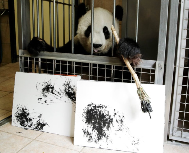REUTERS/Heinz-Peter Bader Yang Yang vive no Zoológico de Viena.