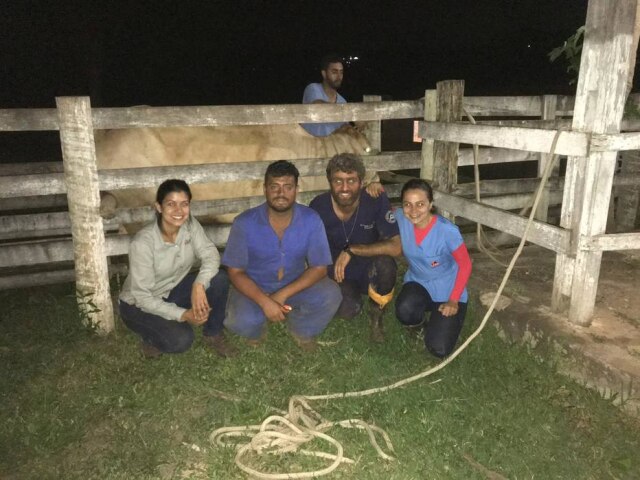 Divulgação/ CRMV-MG Parte da equipe da Brigada Animal e que atua em Brumadinho.