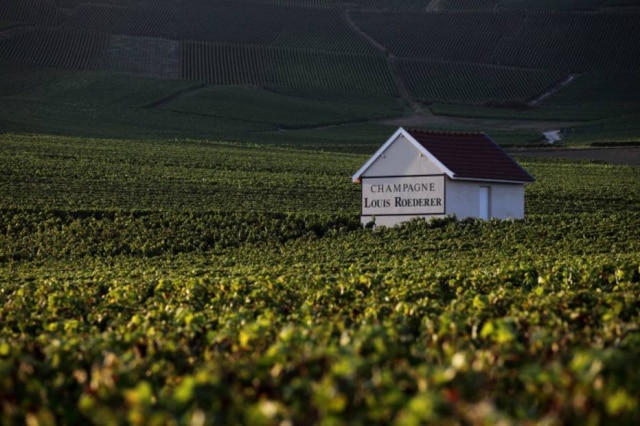 Eric Asimov|NYT A Louis Roederer está entre as grandes casas de Champagne que produz vinhos de alta qualidade.