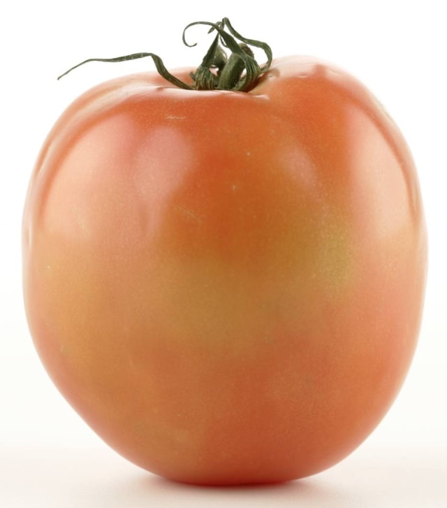 Felipe Rau/Estadão Tomate débora.