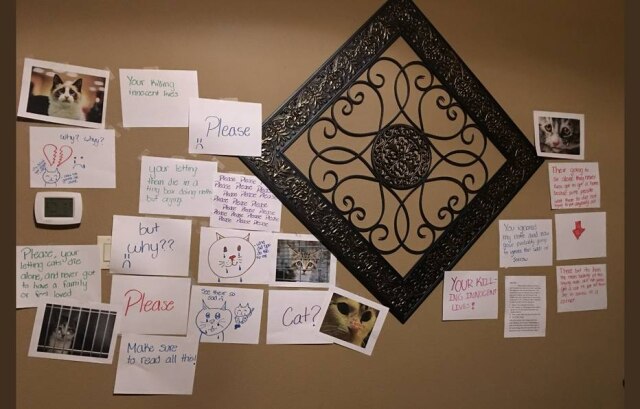 Twitter/ @Itsssdanielle Mural faz 'chantagem emocional' com fotos de gatinhos tristes e textos