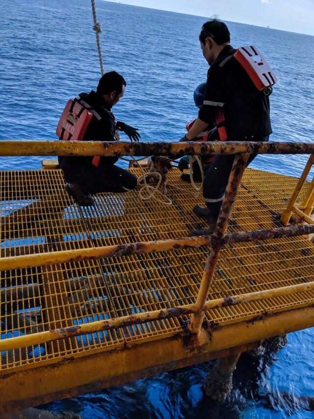 Momento em que os tripulantes da plataforma de petróleo se esforçavam para resgatar o cachorro.