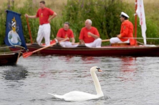 REUTERS/Toby Melville Cerimônia anual de contagem de cisnes da rainha Elizabeth no rio Tâmisa, em Londres.