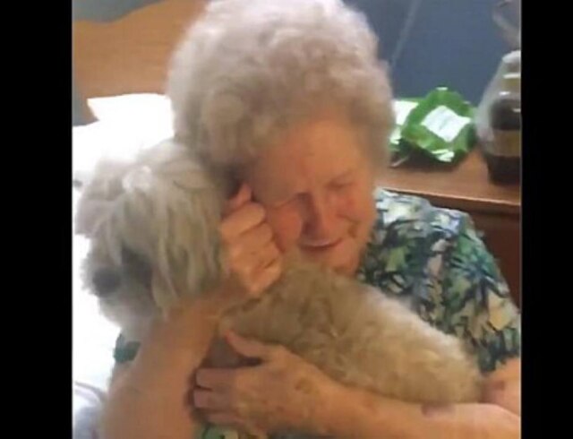 Reprodução Para superar a depressão e o luto, idosa ganha cão de presente do neto.