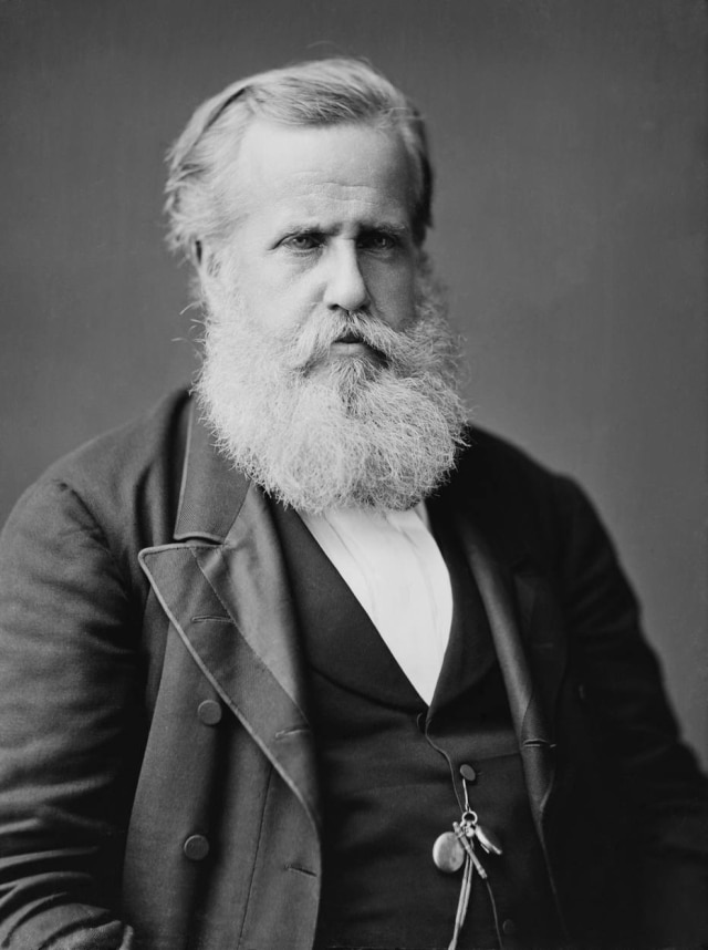 Mathew Brady, 1876 O imperador D. Pedro II em 1876