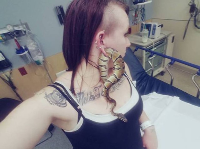 Reprodução/Facebook A cobra de Ashley ficou presa em sua orelha.