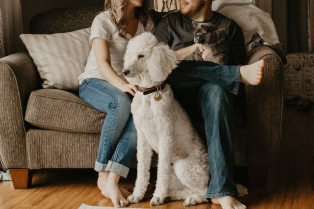 Unsplash / @@sarandywestfall_photo Animais podem ser mais prejudicados do que humanos por fumo passivo.