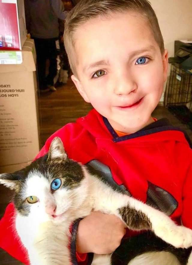 Facebook/@ O garoto Madde, de sete anos, e seu gatinho Moon.