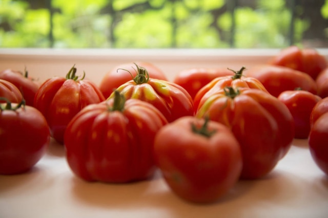 Evan Sung/NYT Vegetais. Se a produção é diferente, o impacto também será.