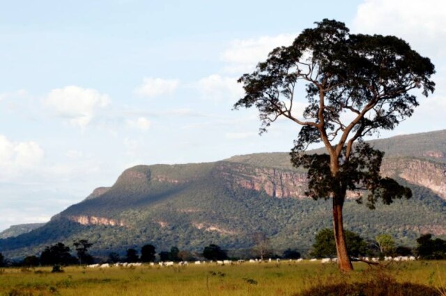 Ednilson Aguiar / Greenpeace Parque Estadual Serra Ricardo Franco, no Mato Grosso, sofre com desmatamento e falta de regularização fundiária