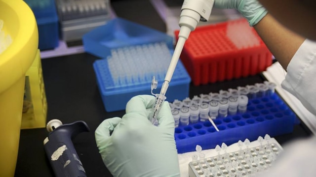 Maggie Bartlett/NYT Teste mapeia mais de 145 marcadores genéticos no organismo humano