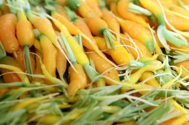 Felipe Rau|AE Vegetais orgânicos