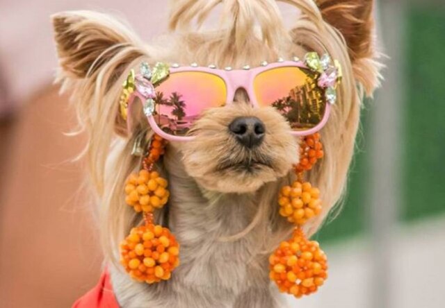 Instagram/@little_lola_sunshine Little Lola Sunshine possui mais de 21 mil seguidores no Instagram