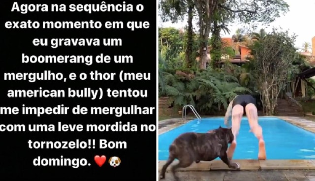 Instagram / @felipetitto Felipe Titto compartilhou o momento da mordida nos stories do Instagram.