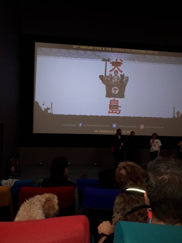 Twitter / @Pigsyinspace Cãezinhos prestes a 'assistir' 'Ilha de Cachorros'