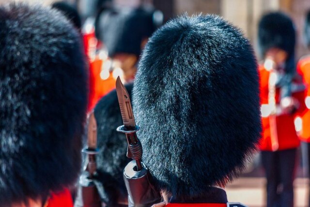 Instagram/@cedlambert Uma turista foi 'atropelada' por um soldado da guarda real britânica ao ficar na frente da sua rota