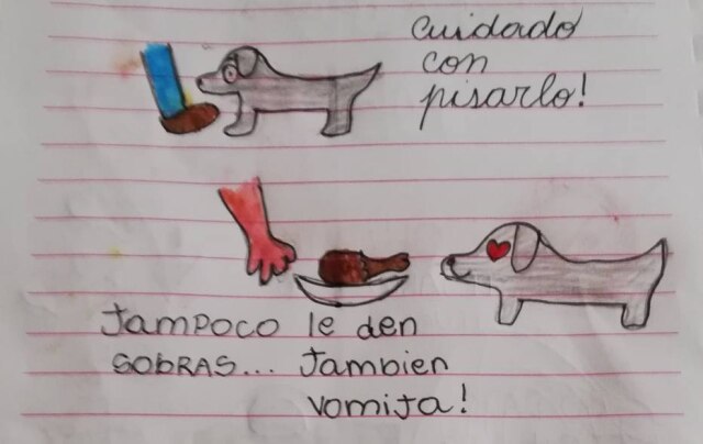 Twitter / @Mechi_Palacio Criança fez uma lista de cuidados para a tia tomar com o cachorro Milo