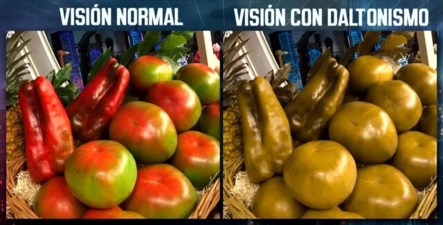 Reprodução do programa 'El Hormiguero' / Antena 3/YouTube Mesmo com daltonismo, as pessoas podem levar uma vida normal, e até dirigir carros, fazendo adaptações necessárias.