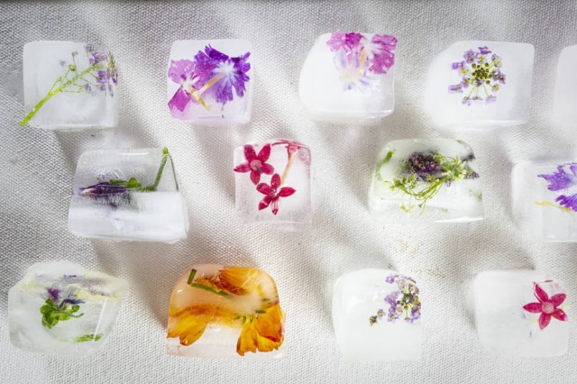 Taba Benedicto/Estadão Gelo com flores comestiveis preparado pela bartender Neli Pereira