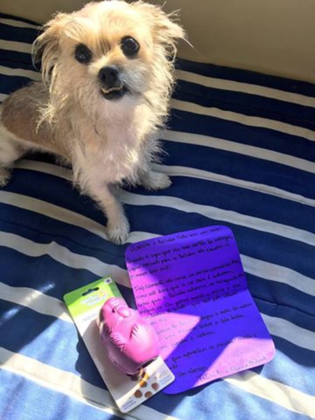 Reprodução/Facebook A cachorra comeu o cartão de seu dono e recebeu uma surpresinha.