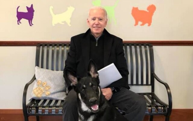 Delaware Humane Association Joe Biden e seu pastor alemão Major