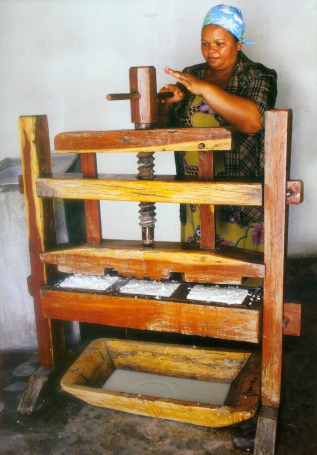 Reprodução História. Queijo de coalho prensado pelo método tradicional.