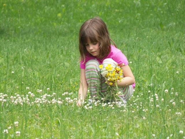 Pixabay Filhas queriam pegar flores para dar de presente para a mãe, mas policial não deixou.