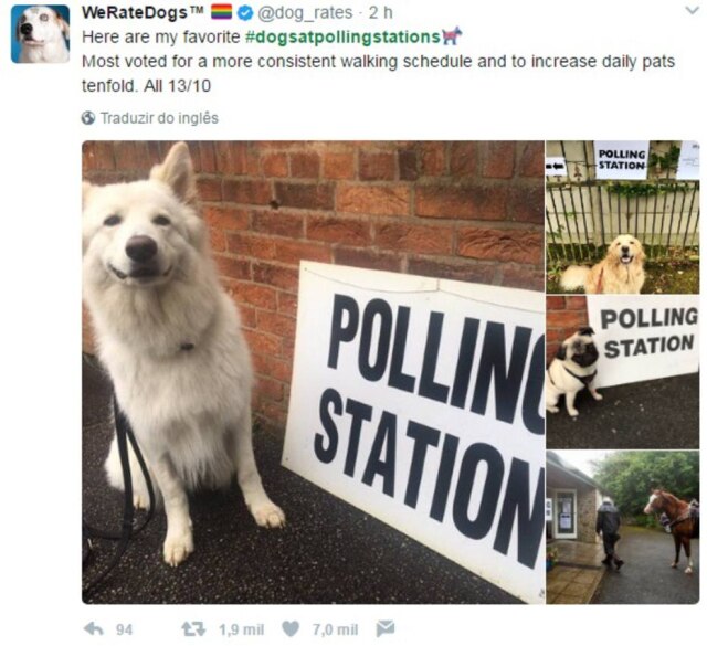Twiter/ @dog_rates Twitter colocou um emoji de cachorro ao lado da hashtag