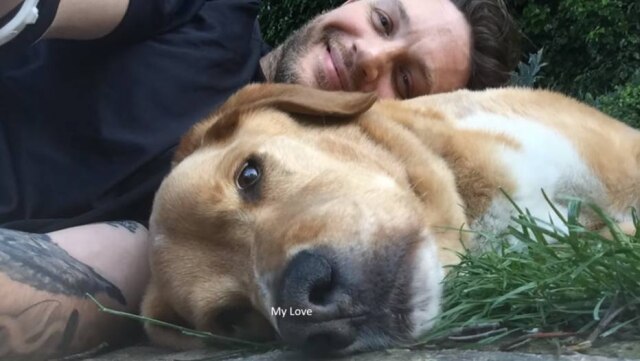 YouTube/ TomHardy Dotorg Tom Hardy encontrou seu cão durante as grações de 'Os Infratores', em 2012